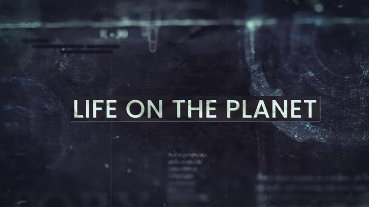 Kepler-22b – The Alien World That Shouldn’t Exist