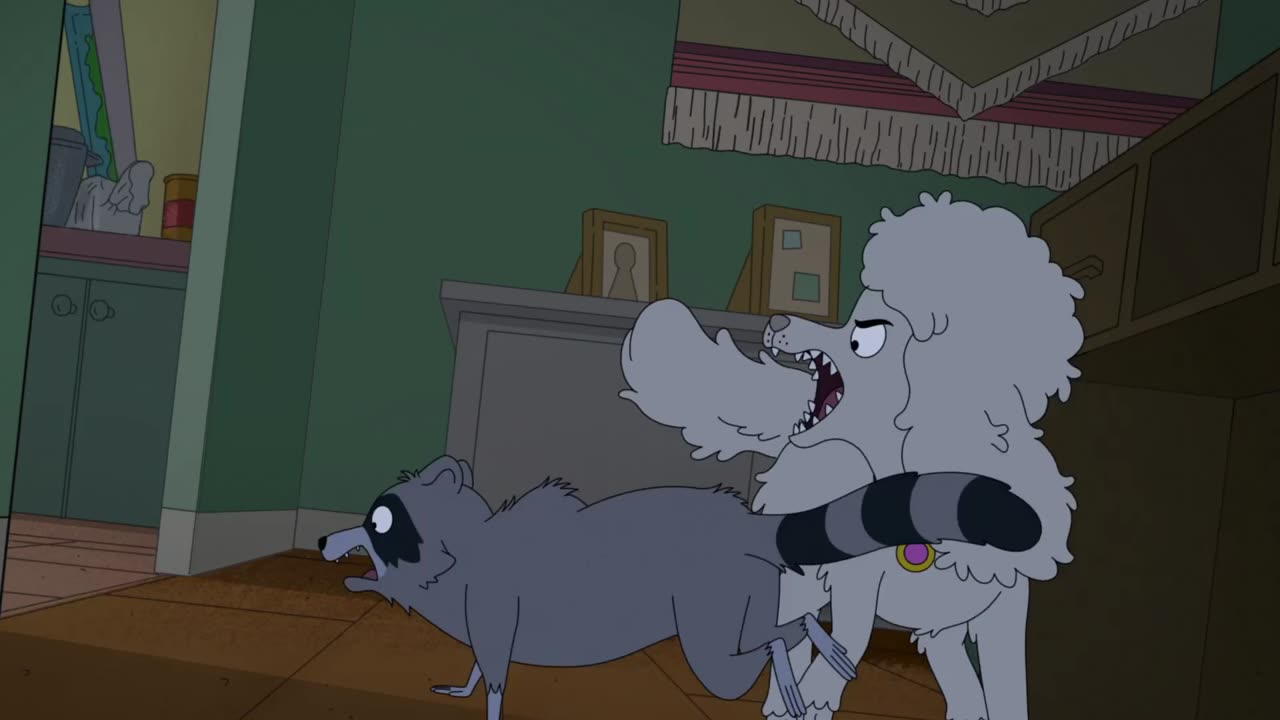 Honey Vs The Raccoons