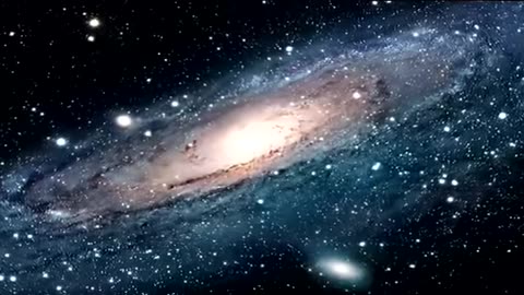 Terence Mckenna - Trust Yourself
