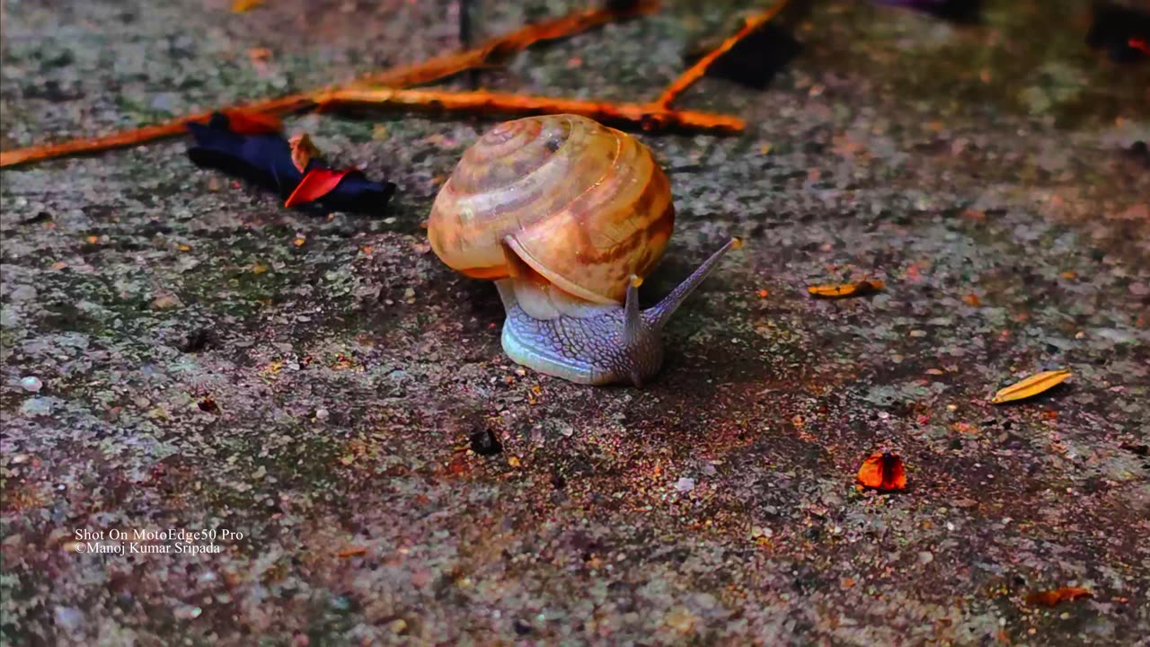 A Tiny Traveler on a Big World