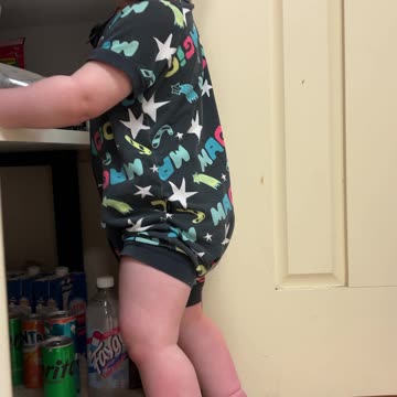 Adorable Toddler Shares Nutri-Grain with French Bulldog Piper!