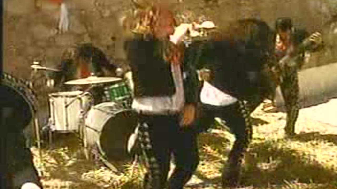 Borracho - Genitalica