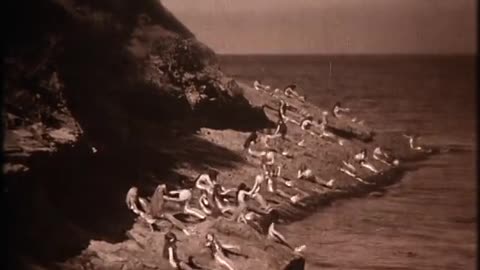 Peter Pan (1924)
