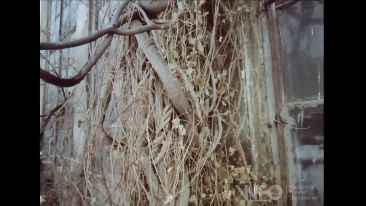 Tołpa historia leku, którego system nie dopuścił bo był za tani