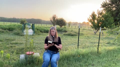 Morning Prayer, Daily Office