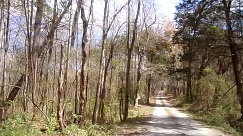 Driving on a Forrest Trail