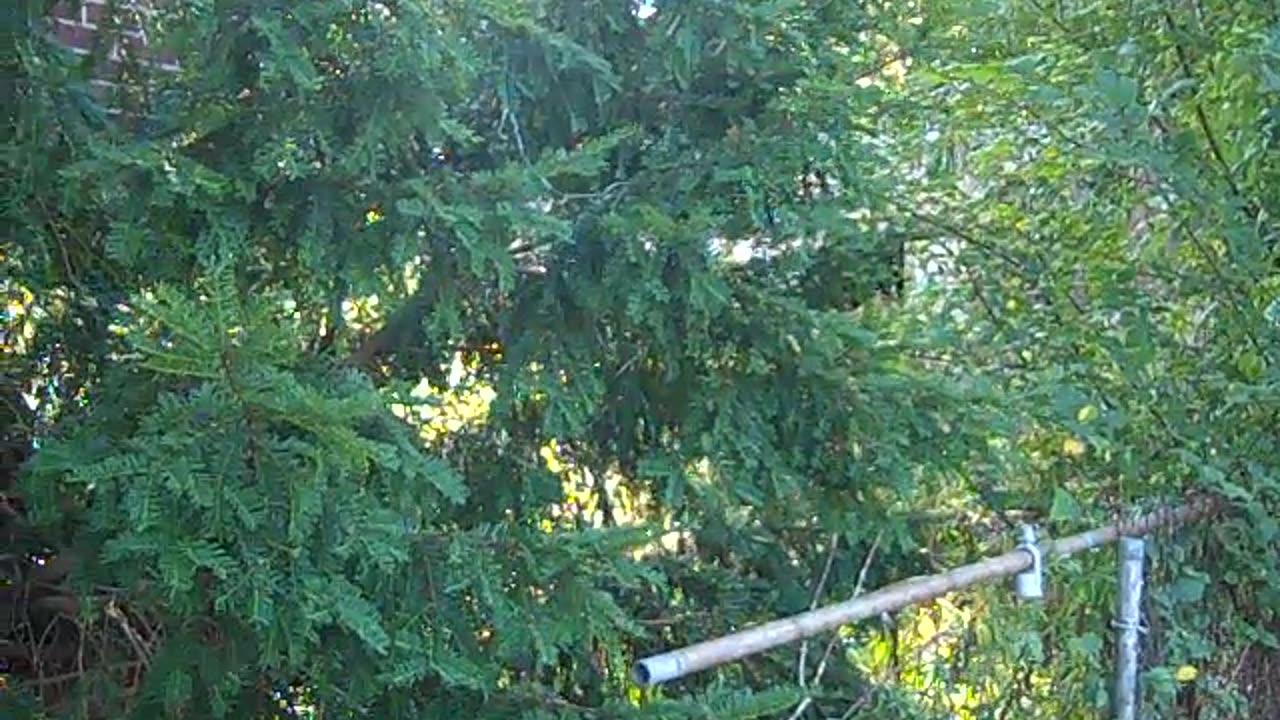 could be a good deal for the right price,, the shea show