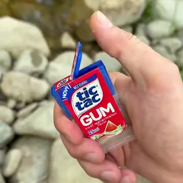 Survival lifehack #bushcraft #survival #camping #outdoors #forest