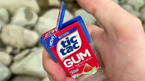Survival lifehack #bushcraft #survival #camping #outdoors #forest
