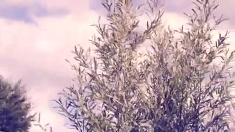 🛸👽 Unidentified Object Spotted Over England! | TheTruthAbove
