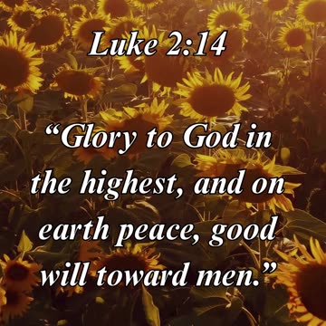 Luke 2:14