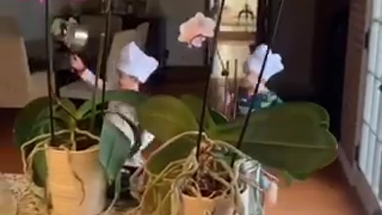 Trending Funny Baby Video🤪