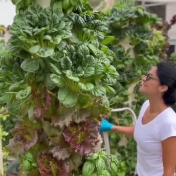 VERYTICAL Farming DOG truth dog tips