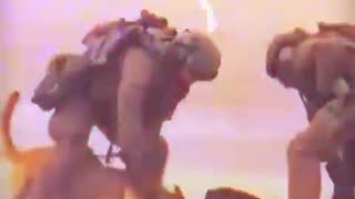 Absolutely BADASS dogs!