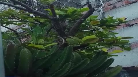 La vida es un regalo único e irrepetible