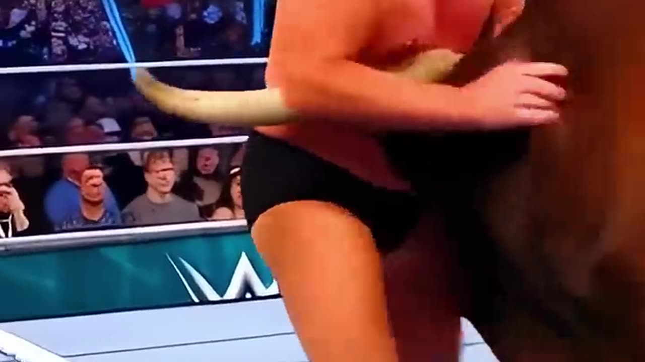 #tramp