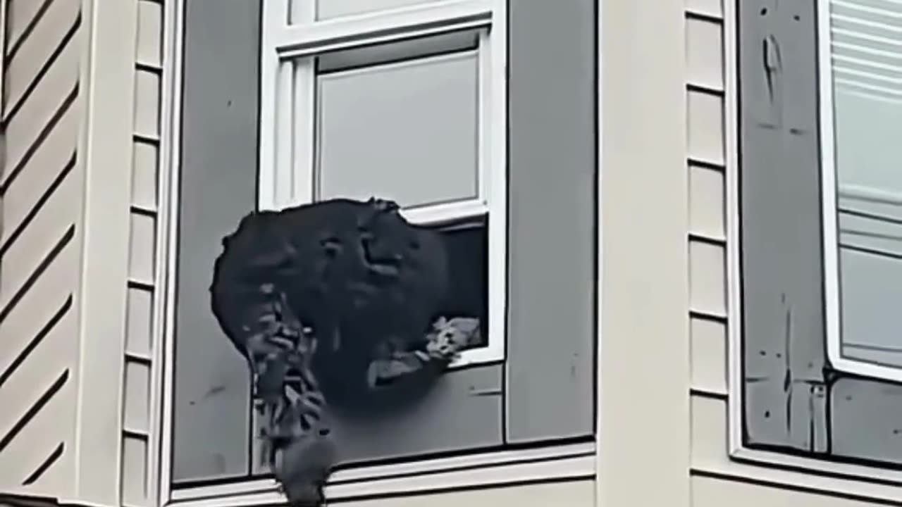 FUNNY ANIMAL COMPILATIONS - PART 76