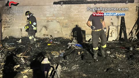 Bisceglie: lui muore nell'incendio. Il cane resta in attesa, invano, del ritorno del suo amico umano