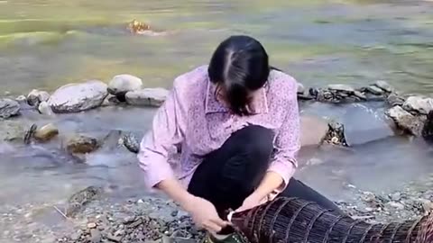 make a stir-fry recipe with fried fish