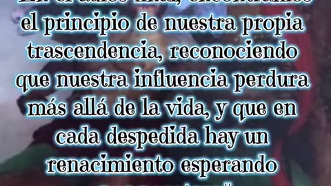 💠 Frase 27 🕷 Demonología 💠