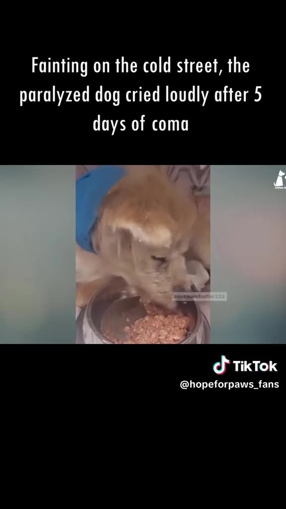 MIRACULOUS 🥰MONDAY 11/17/25