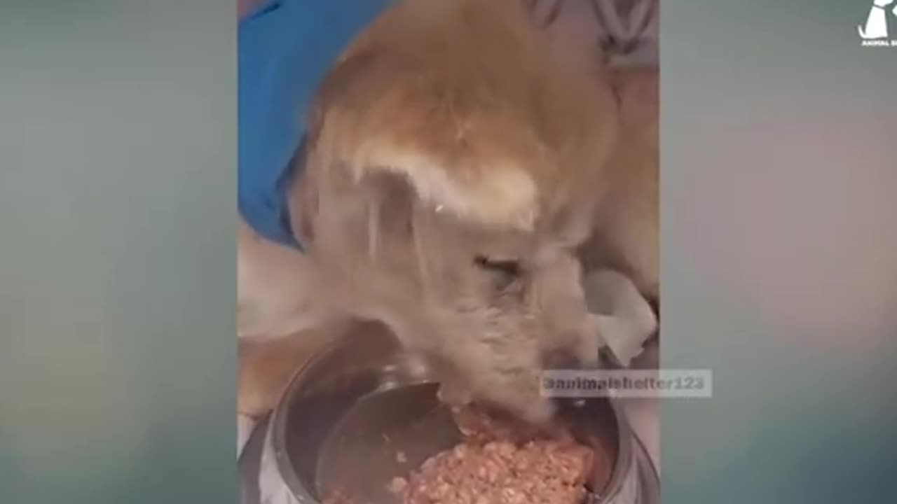 MIRACULOUS 🥰MONDAY 11/17/25