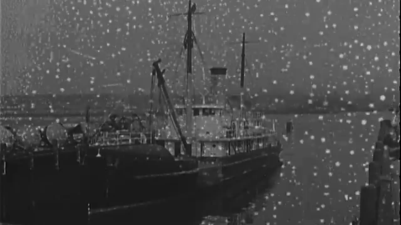 BOSTON LIGHTHOUSE SURVEY - BOSTON LIGHTHOUSE SURVEY - 428-npc-43806