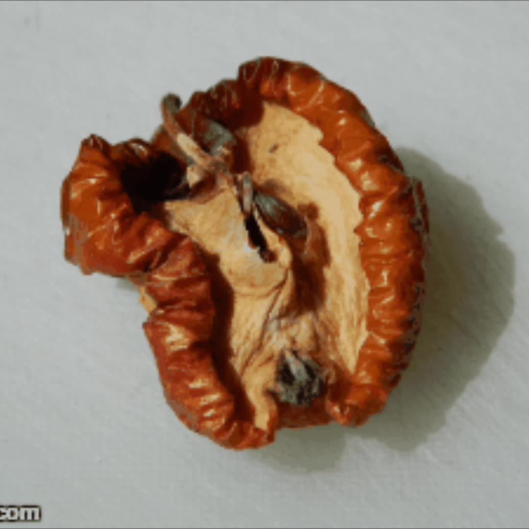 “Spoilt Rotten” (messy Uke vers.)