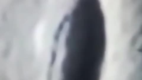 Moon entrance?