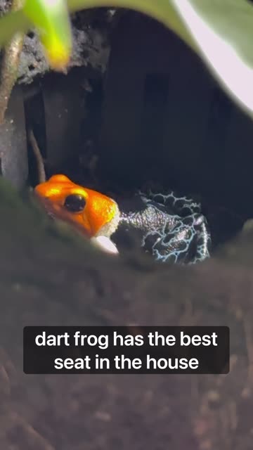 Best Seat In The House!