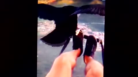 To fly like a bird: