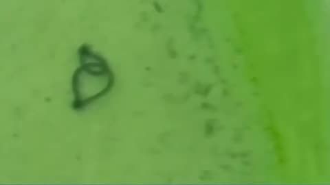 New Jersey business owner used drone to drop DYE into nearby pools