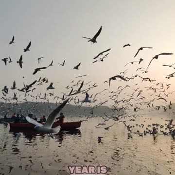 Universal Nine-Year What It Means for You! #numerology