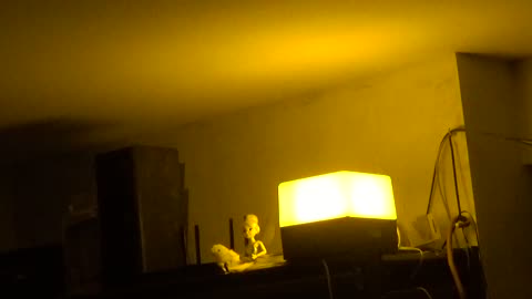 35 Watt HPS light in Living Room