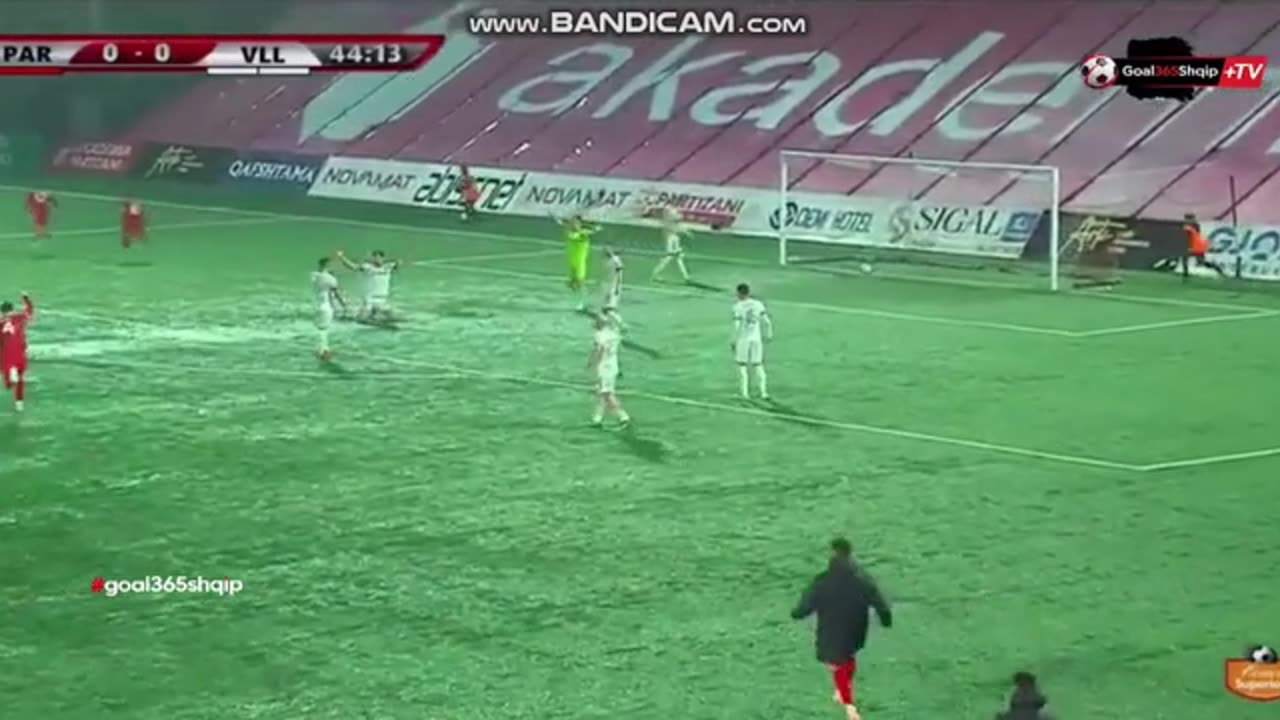 GOL PARTIZANI