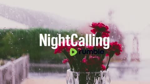 🎧 Chill Music – Relax, Study & Unwind #4