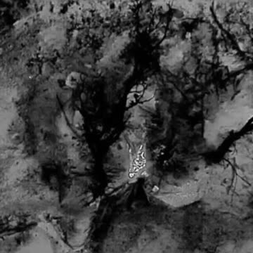 Russians Attempting to Advance Under Cover of Darkness