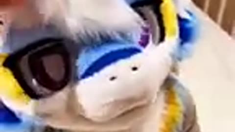 .
