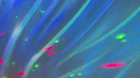 The Morning Rant 💥