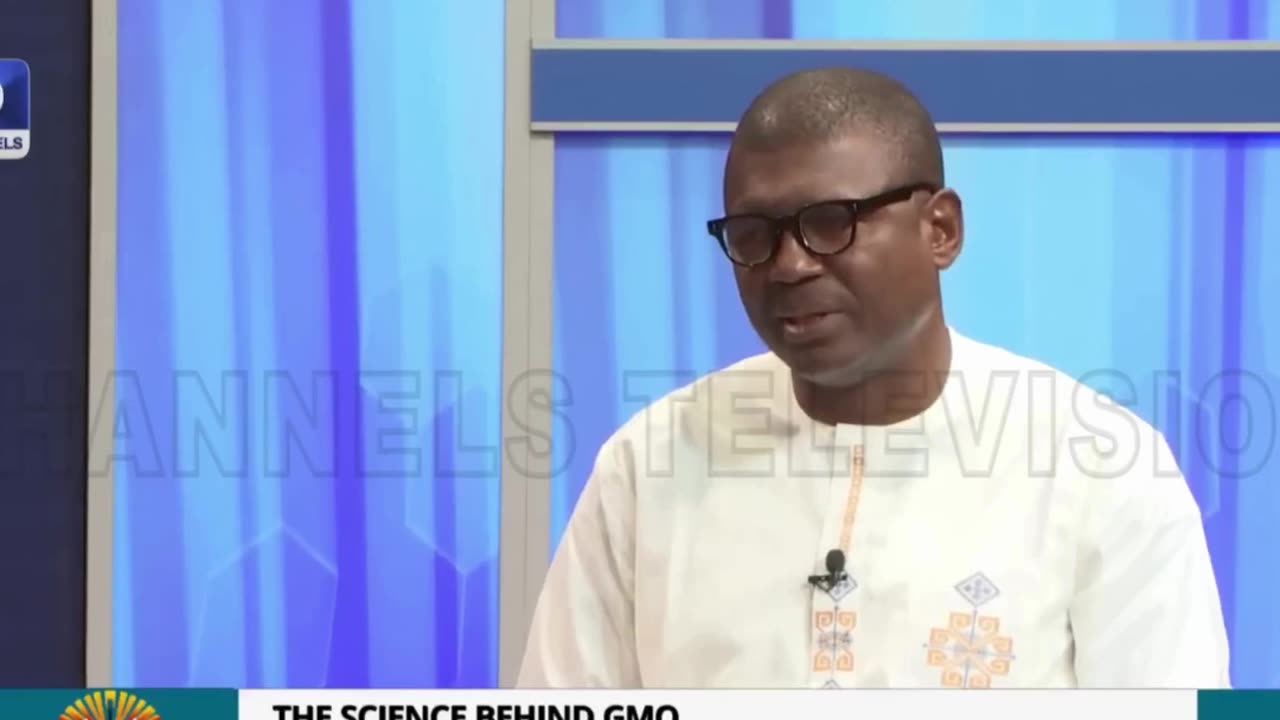 Nigeria Does Not Need GMO Seeds to Survive