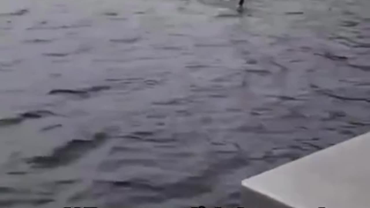 When God sends help - take it before it's too late