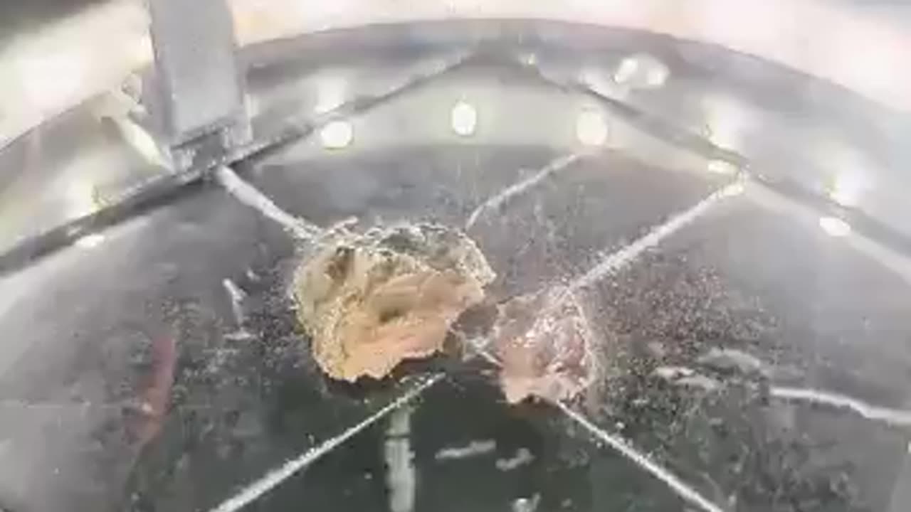 This is what uranium looks like in a cloud chamber-The visible tracks are mainly alpha particles