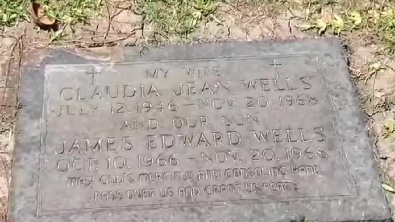 DERANGED HORRORS - VOL. 1,032: THE DEATHS OF JAMES & CLAUDIA WELLS