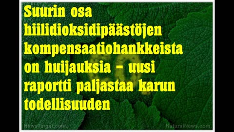 Suurin osa hiilidioksidipäästöjen kompensaatiohankkeista on huijauksia