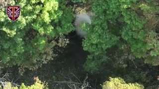 🌳🔥 Ukraine Russia War | Russian Forces Attempt Breakthrough on Kupiansk Front Foiled | RCF