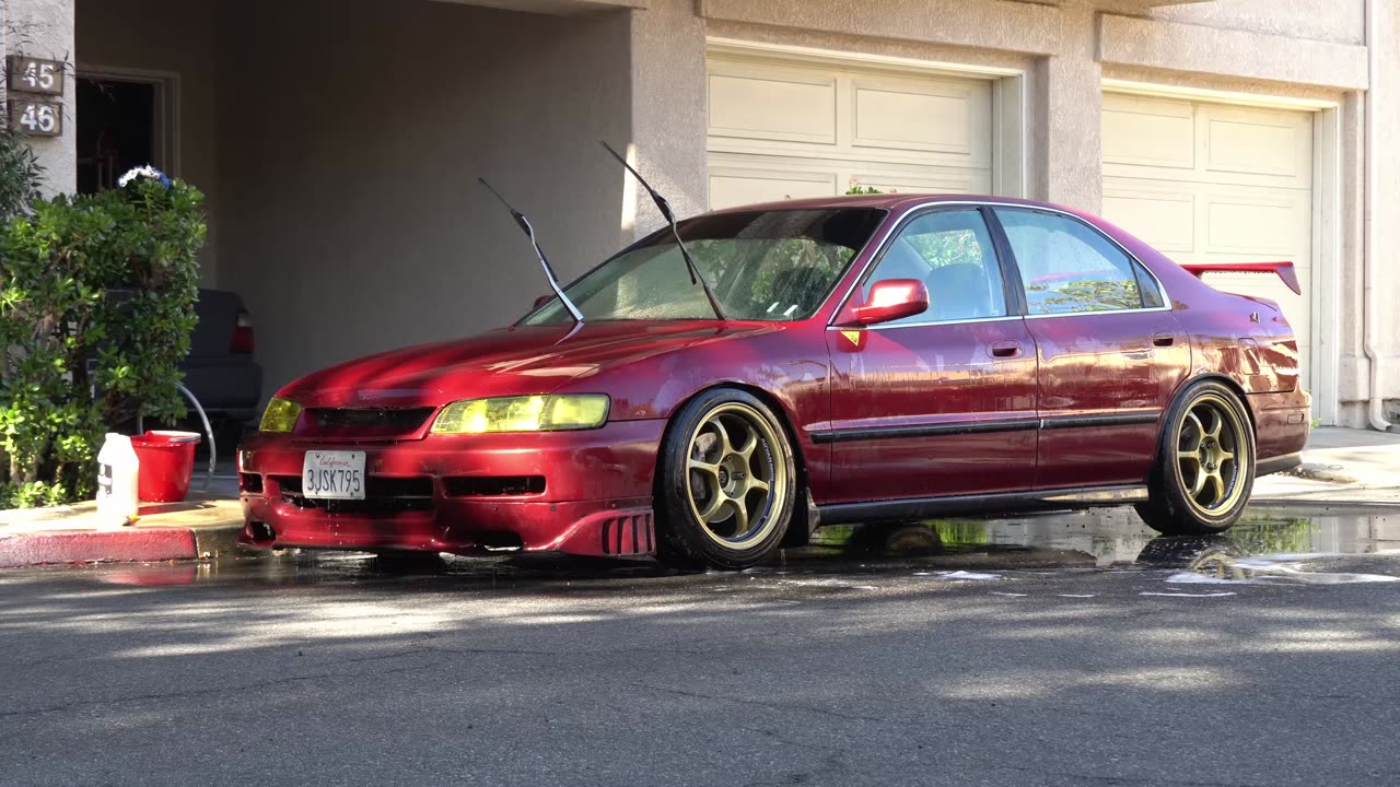 1994 Honda Accord: Wash & Talk: Lone Wolf!