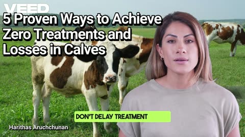 5 Proven Ways to Achieve Zero Treatments and Losses in Calves