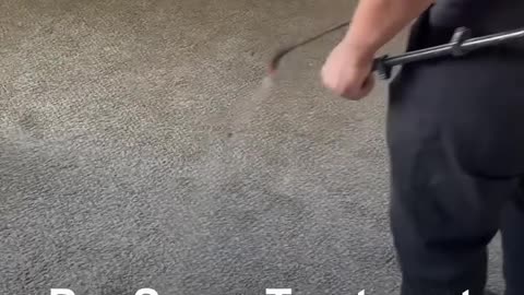 Anchor MPL's Carpet Cleaning Process
