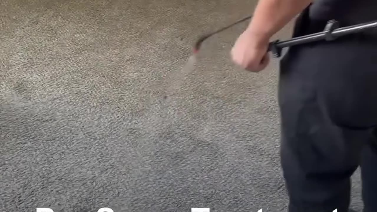 Anchor MPL's Carpet Cleaning Process