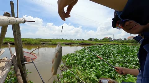 Crappie Tactics Best Baits for Success